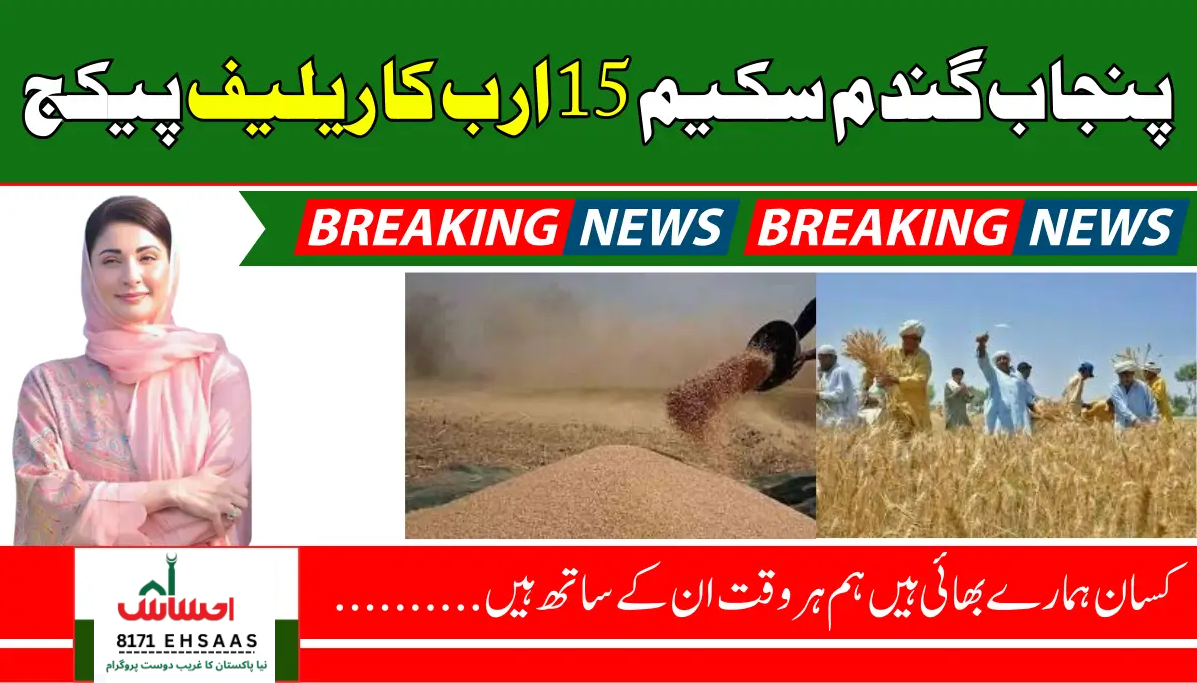 Punjab Wheat Scheme – Rs.15 Billion Relief for 5.5 Lakh Farmers