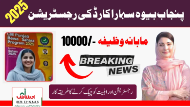 CM Punjab Bewa Sahara Card Registration 2025 – Full Guide