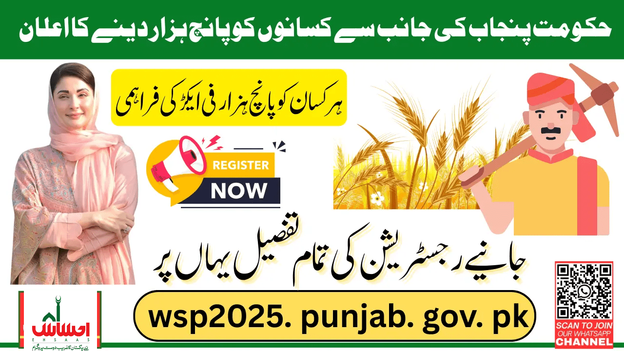 CM Punjab Wheat Support Program 2025 – Registration Guide