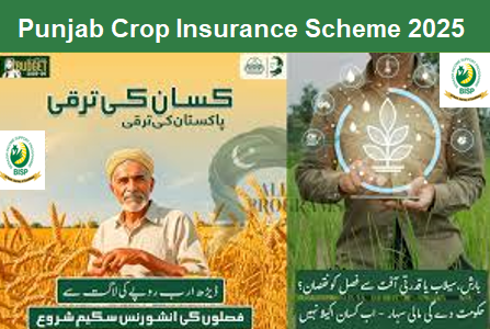 Punjab Crop Insurance Scheme 2025 – Big News for Farmers